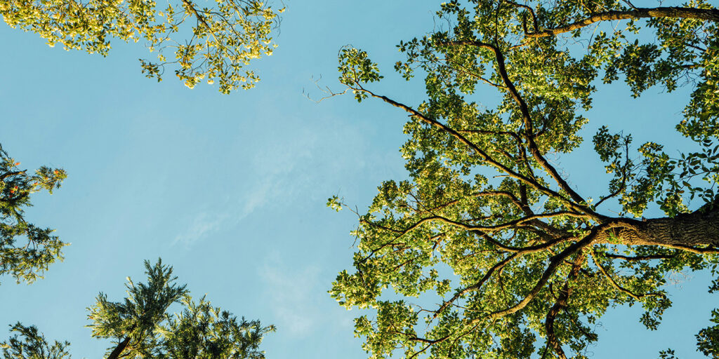 TerraLifeテラライフとは、スピリチュアルってなんだろう