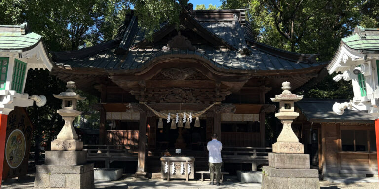 雷に打たれるようなエネルギーの田無神社。パワーチャージができる