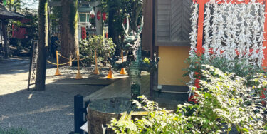神社で龍がついてきた？1年後に消えたけど、また…