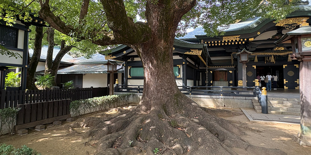 東京都新宿区にある穴八幡宮　一陽来復御守が有名