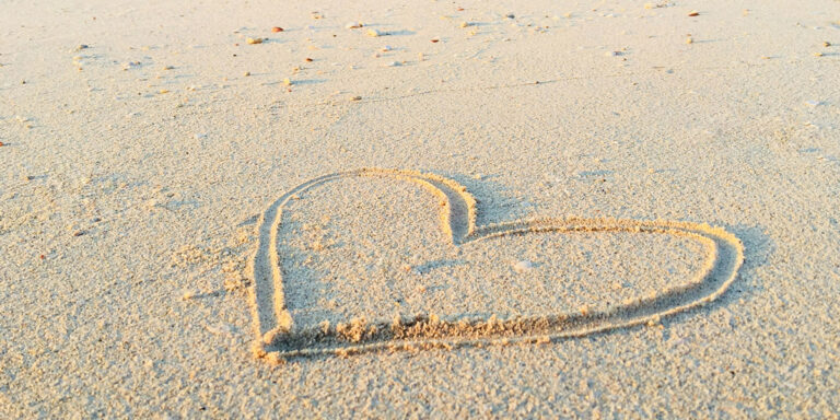 遠い憧れの人より、コツコツ頑張る人を応援したくなる