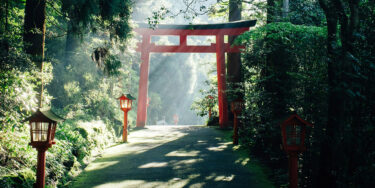 神社のおみくじ、心のテンションにぴったり！